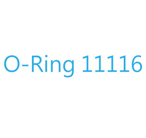 Harley_O-ring_11116