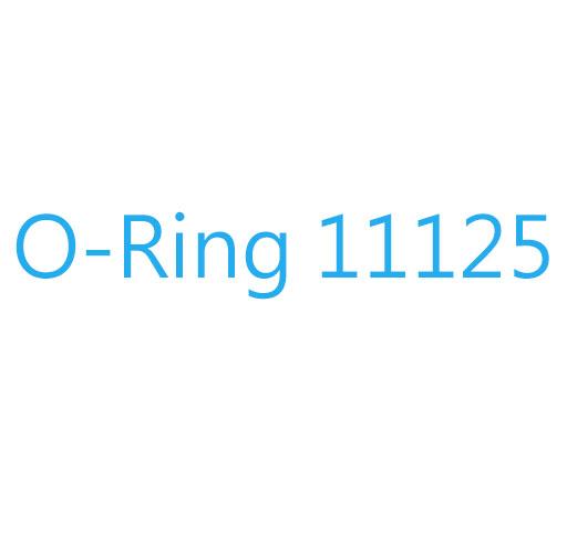 Harley_Inner Primary O-ring_11125