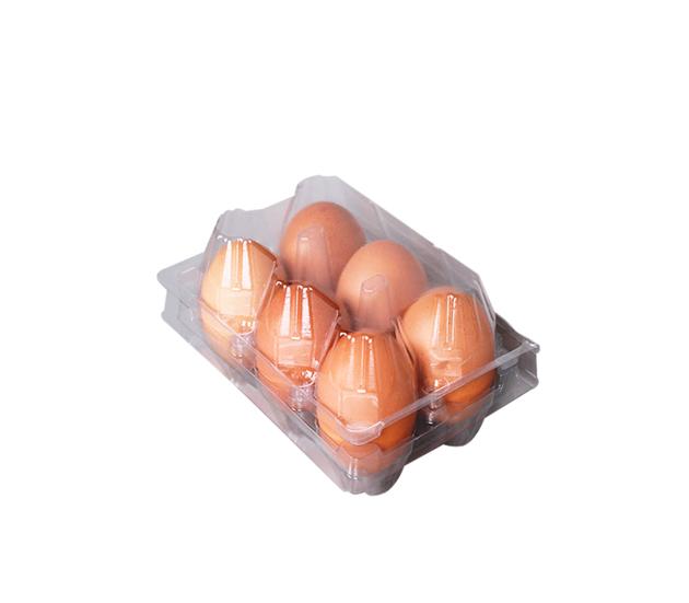 EGG BLISTER TRAY