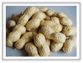 Chinese peanuts in shell