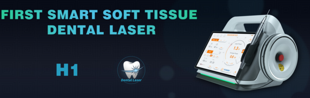 PIOON H1 Medical Laser