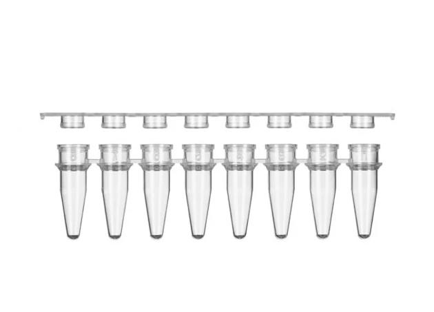 PakGent PCRS-20F 0.2ml 8 PCR Strips Tubes