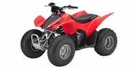 2012 Honda TRX 90X