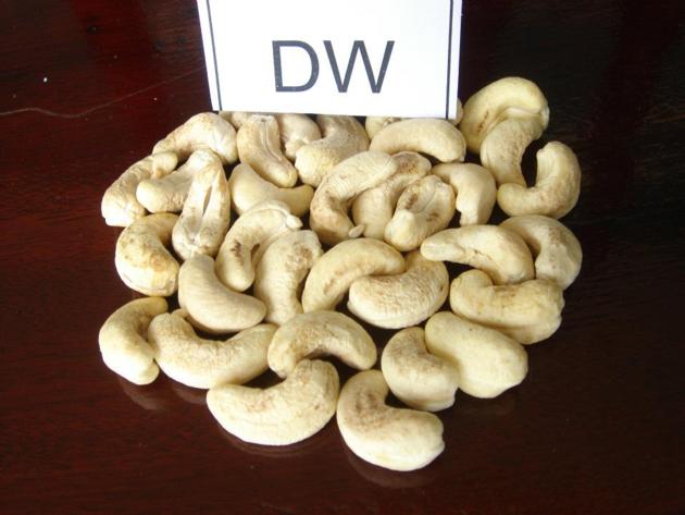 Vietnamese Cashew Kernels DW