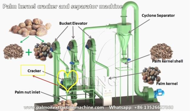 Palm Kernel Crushing And Separating Machine