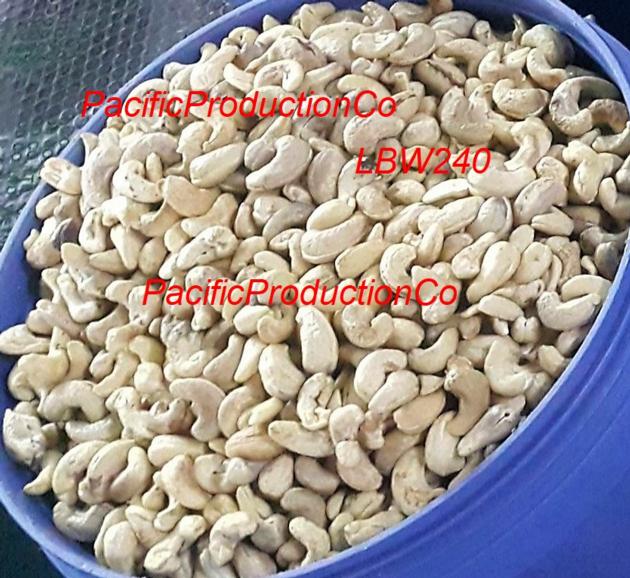 Cashewnut Kernels Vietnam LBW240