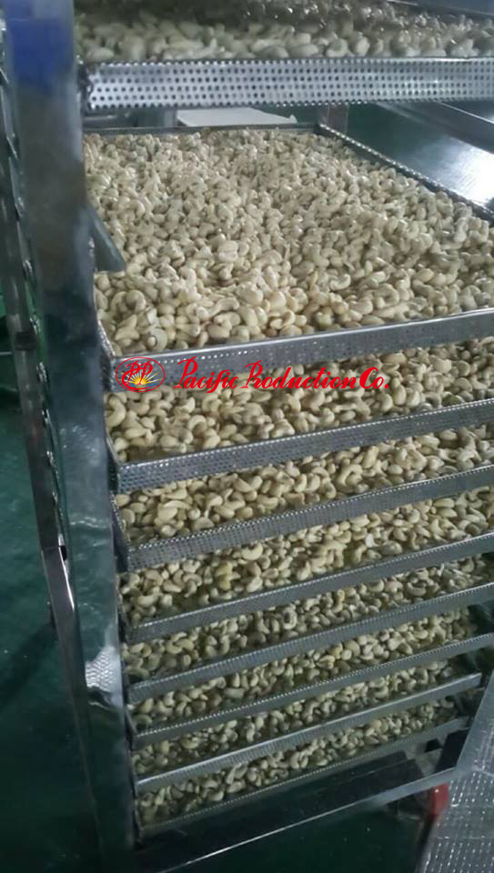 Cashewnut Kernels Vietnam WW320