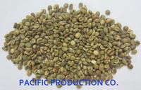 Vietnam Coffee beans