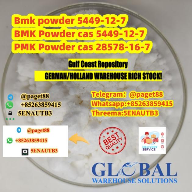 Best Price Holland Germany Guarantee Delivery BMK/Pmk Powder Cas 28578-16-7/20320-59-6/ 5449-12-7