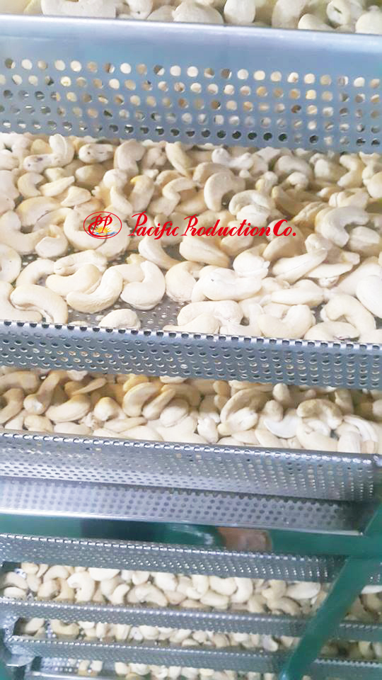 Cashewnut Kernels Vietnam WW210