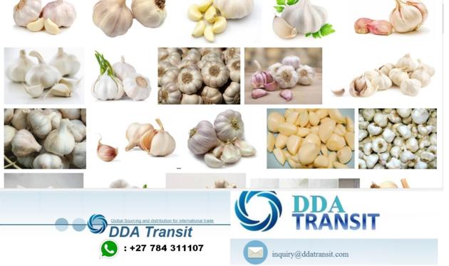 Garlic, Ginger