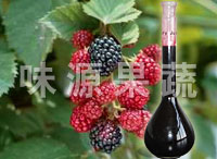 Mulberry Juice Concentrate