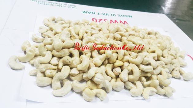 Cashewnut Kernels Vietnam WW320