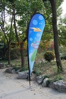 flying flag 