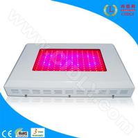 144X3W LED Grow Lights