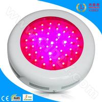 45x3W LED Grow Lights