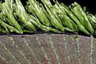 Artificial Grass