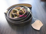 pet collars and leashes