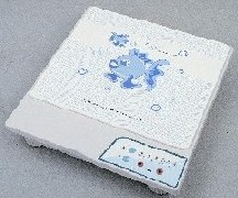 Induction Cooker