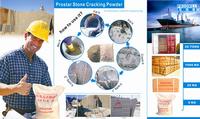 PROSTAR EXPANSIVE MORTAR