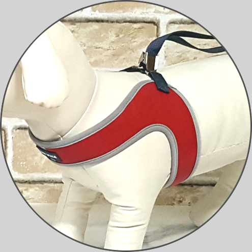 Pet Harness