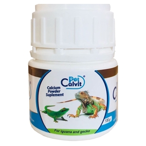 iguana calcium powder 