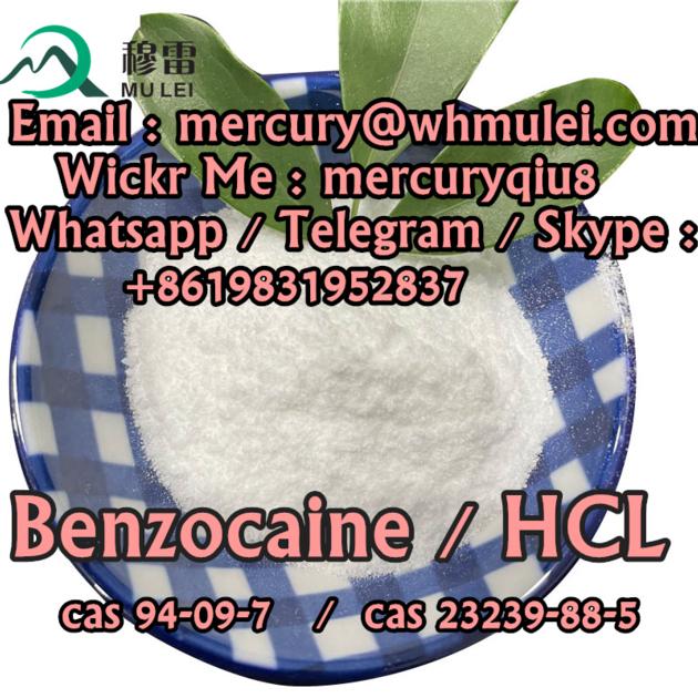 China chemical factory benzocaine hcl  200 mesh benzocaine base powder with low price