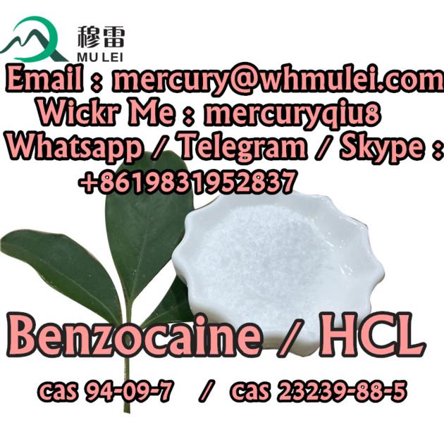China Chemical Factory Benzocaine Hcl 200