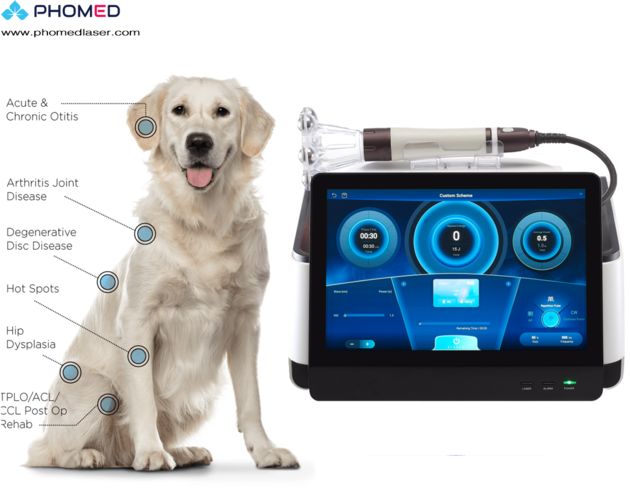 Veterinary Diode Laser System For Therapy And Surgery