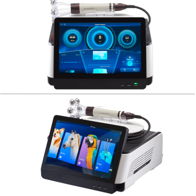 60W High Power Laser For Back Pain