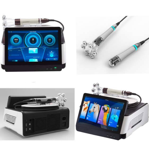 Vet Laser Therapy For Post -Surgical Healing / Pain Relief
