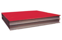 II style floor scale