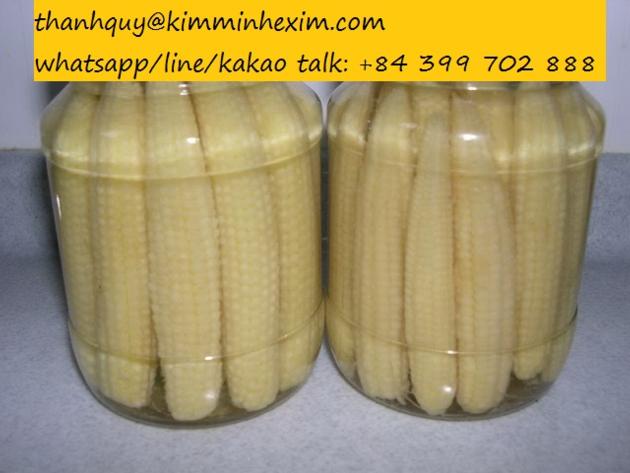 CANNED BABY CORN IN BRINE