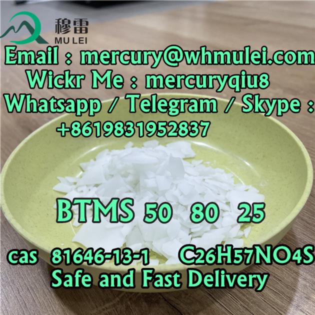 Best Supplier China Top Supplier BTMS