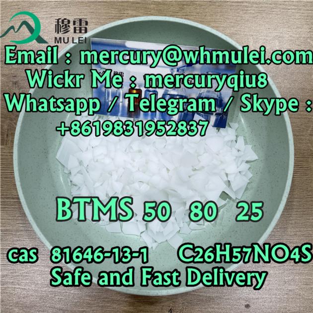 Best Supplier China Top Supplier BTMS