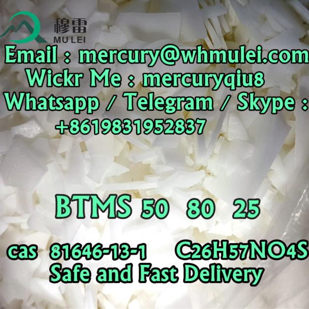 Best Supplier China Top Supplier BTMS