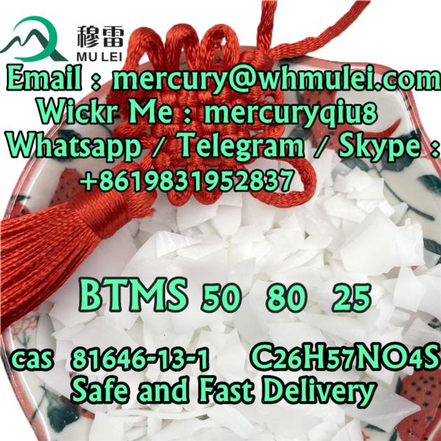 Best Supplier China Top Supplier BTMS