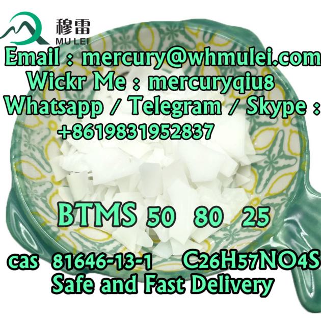 Best supplier china top supplier BTMS 50 BTMS 25 BTMS 80 cas 81646-13-1 Behentrimonium Methosulfate 