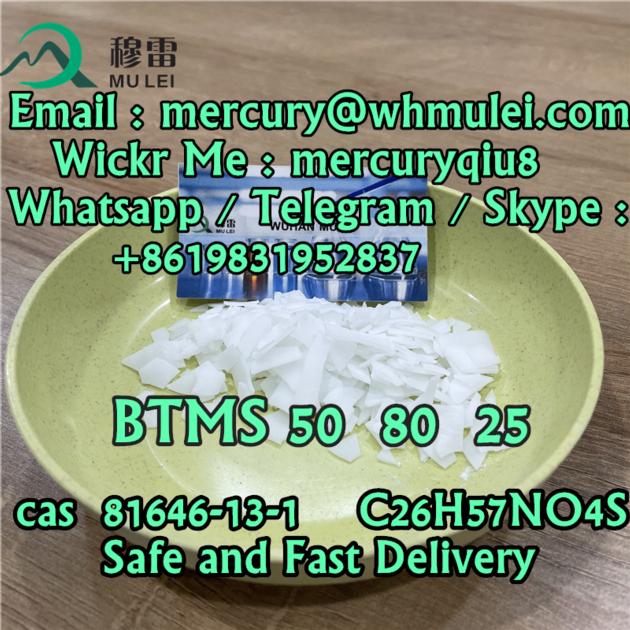 Best Supplier China Top Supplier BTMS