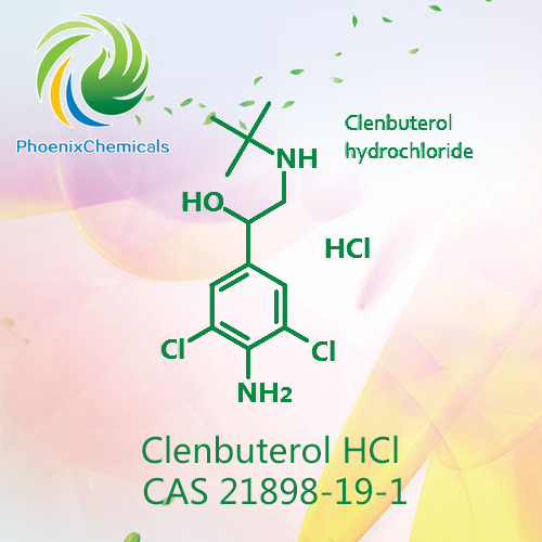 Clenbuterol HCl CAS 21898-19-1