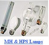 AMERICAN/ EUROPEAN STANDARD MH