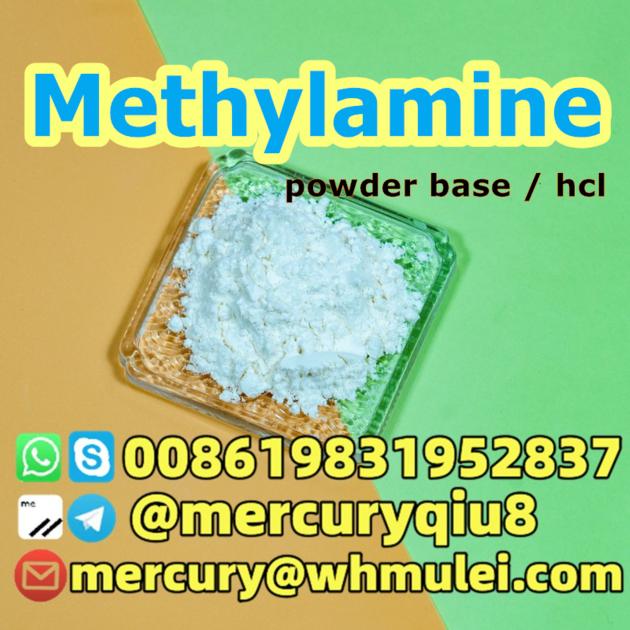 Factory price Methylamine hydrochloride Methylamine hcl CAS 593-51-1 MMA powder