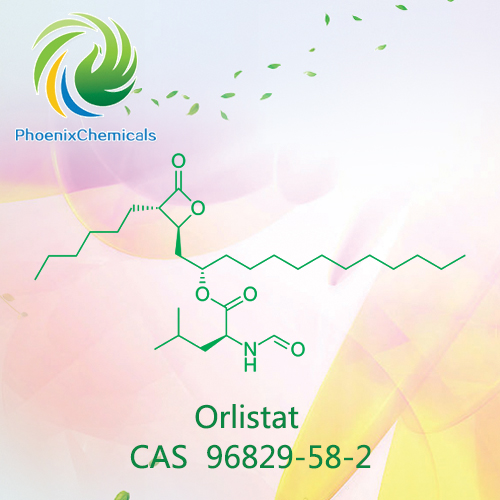 Orlistat CAS 96829-58-2