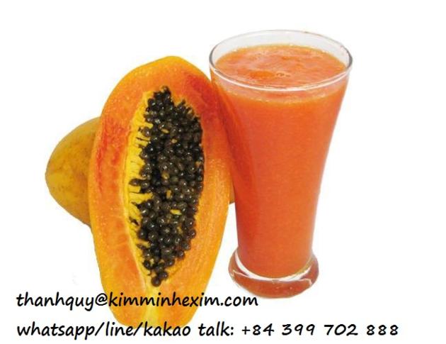 PAPAYA PUREE WITH WHOLESALE PRICE