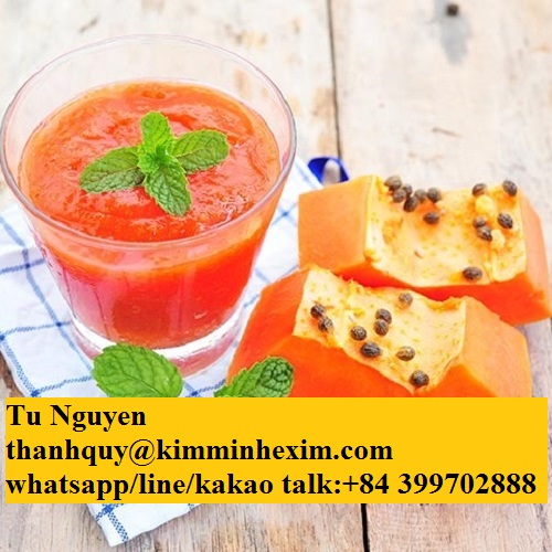 PAPAYA PUREE WITH WHOLESALE PRICE