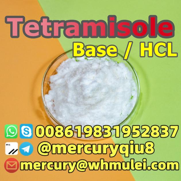 Hot Selling Tetramisole Base Tetramisole Powder