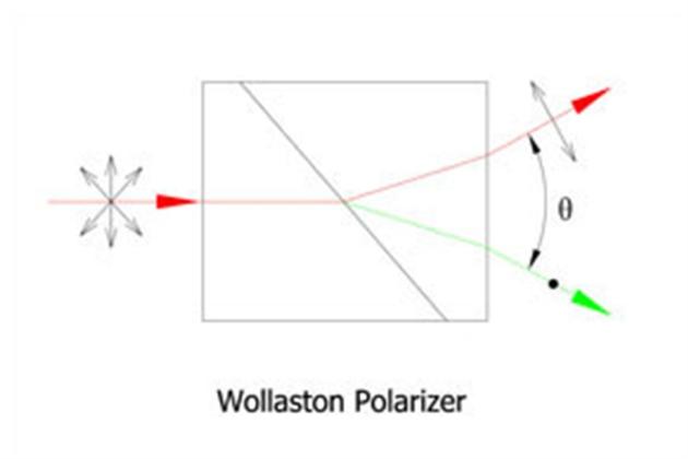 Wollaston Polarizer