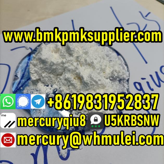 Pharmaceutical Chemical Procaine base / Procaine Powder / Procaine hydrochloride / Procaine hcl