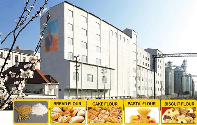 Multi-story Flour Milling Plant