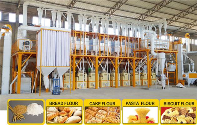 Compact Structure Flour Milling Plant